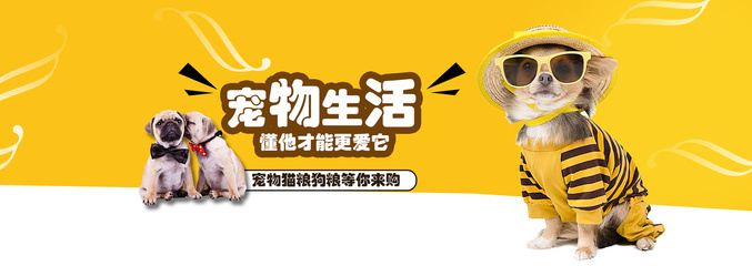 以太坊官方钱包是哪个币种